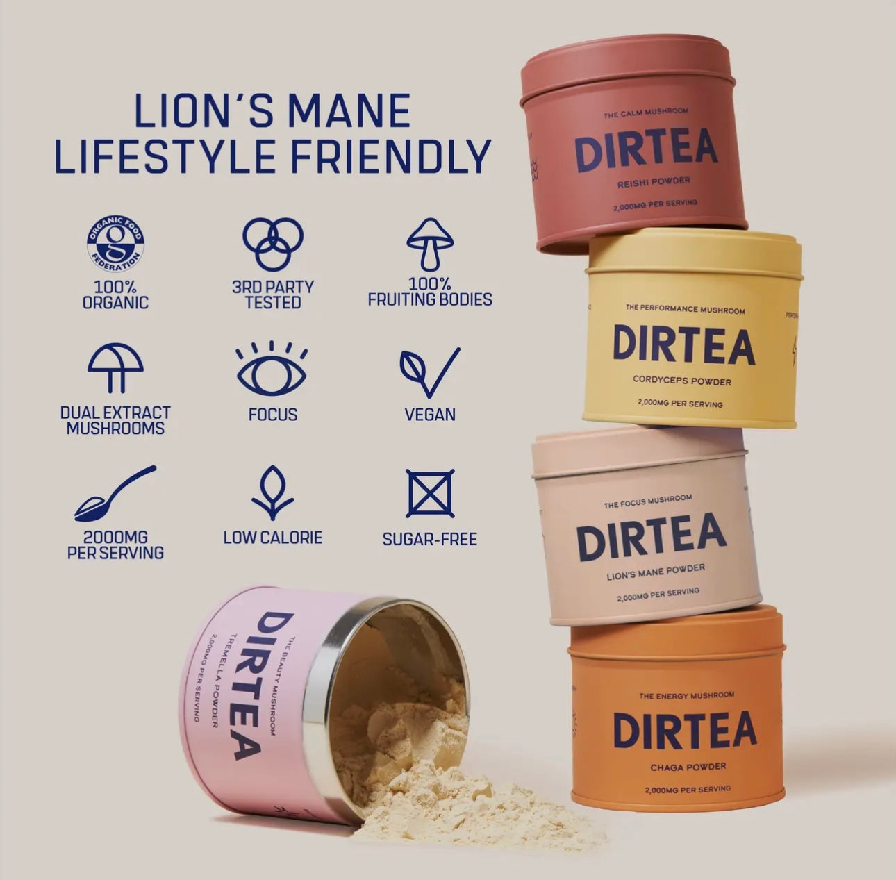 DIRTEA - Focus Powder