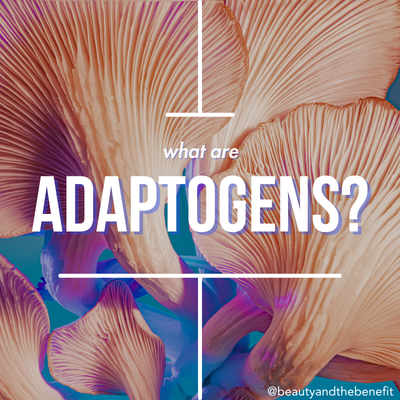 What are Adaptogens?