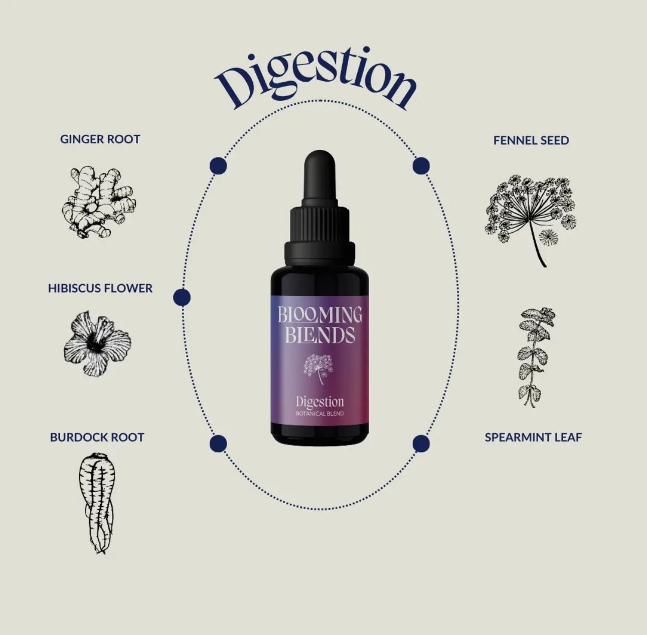 Blooming Blends  Digestion 30ml