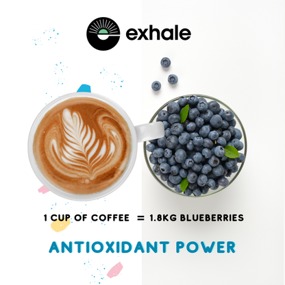Exhale- Organic Decaf Coffee