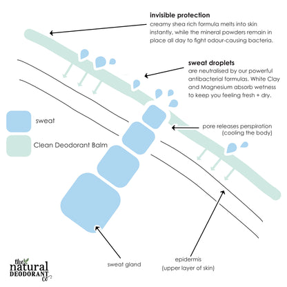 The Natural Deodorant co. Teen Deodorant Balm Sweet Mint - Beauty and the Benefit 