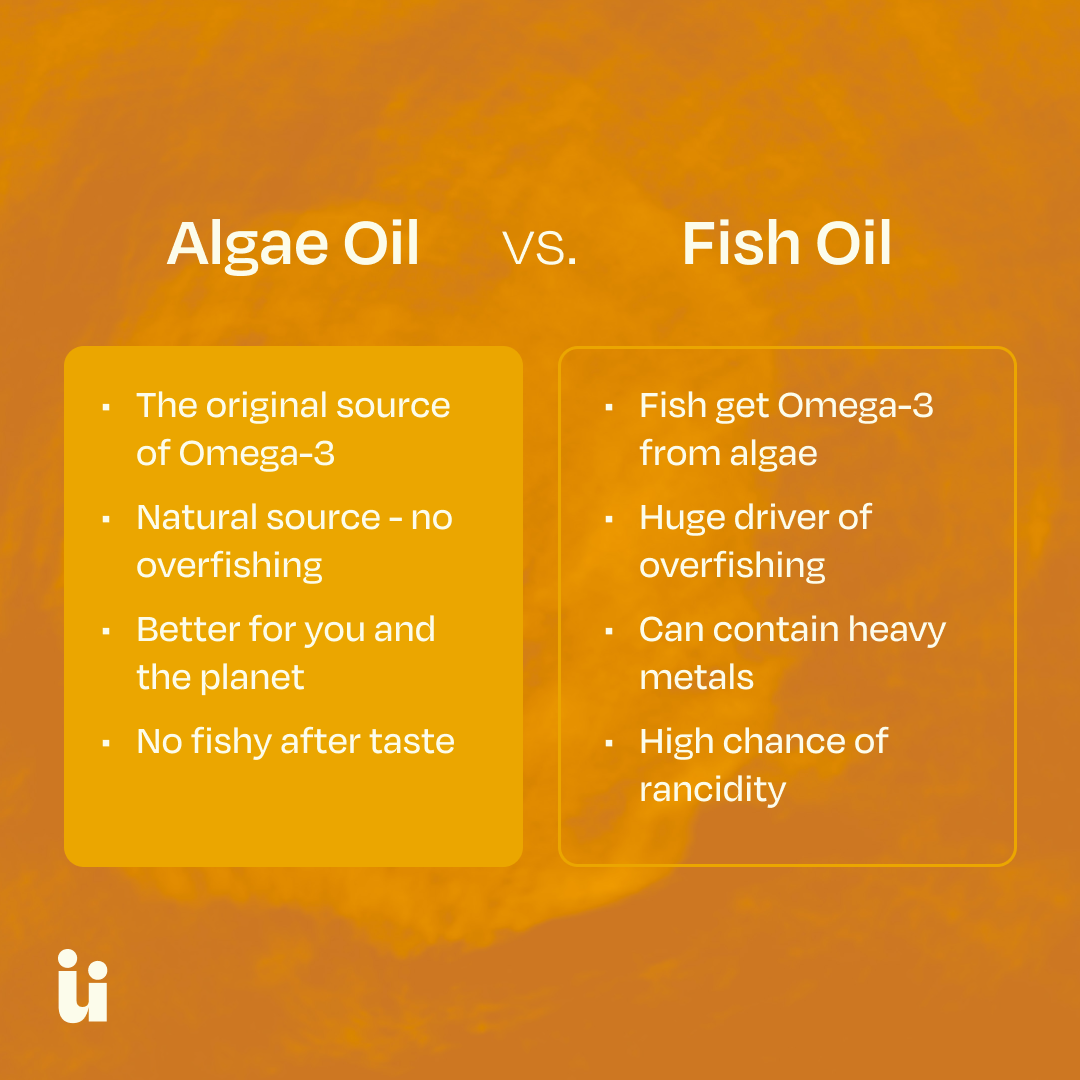 Comparison chart between Algae Oil and Fish Oil on an orange background