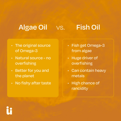 Comparison chart between Algae Oil and Fish Oil on an orange background