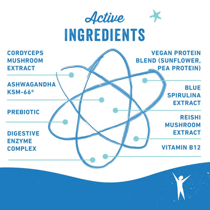 Cosmic Molecule- Blue Moon Vegan Protein (Nootropics + Adaptogens) - Beauty and the Benefit 